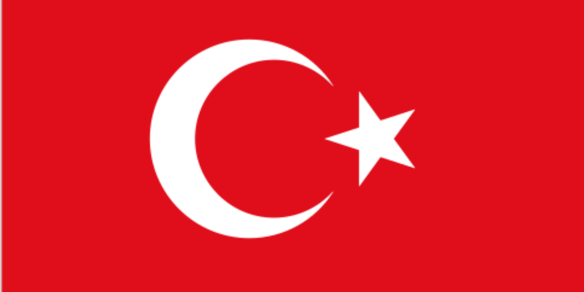 Untitled design (19)